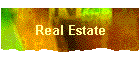 Real Estate